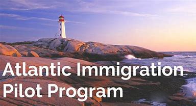 1596505944906668.jpg 2.jpg